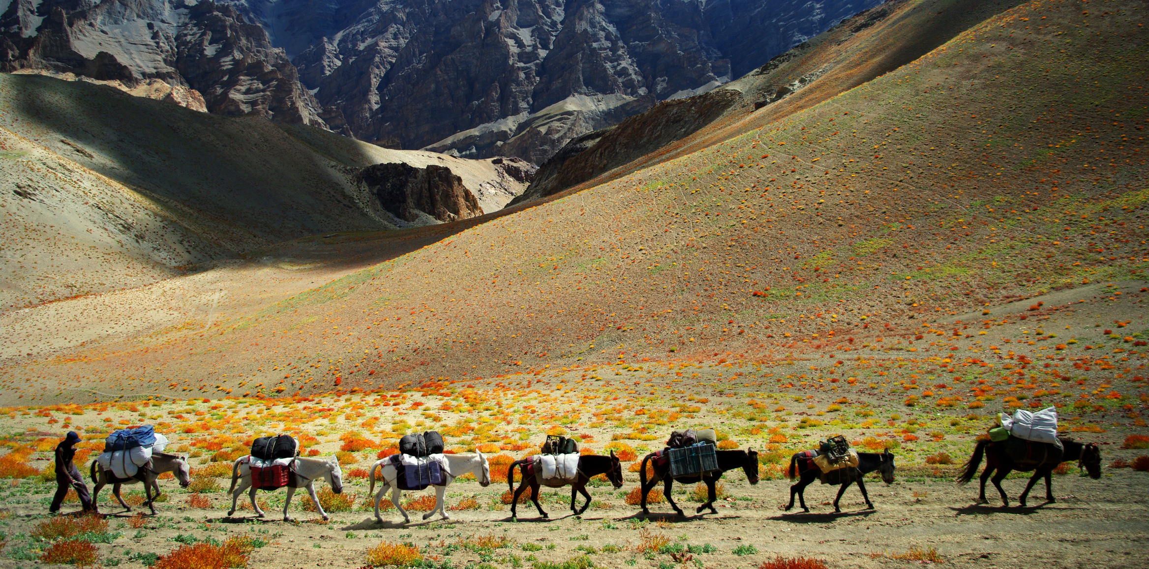 Ladakh