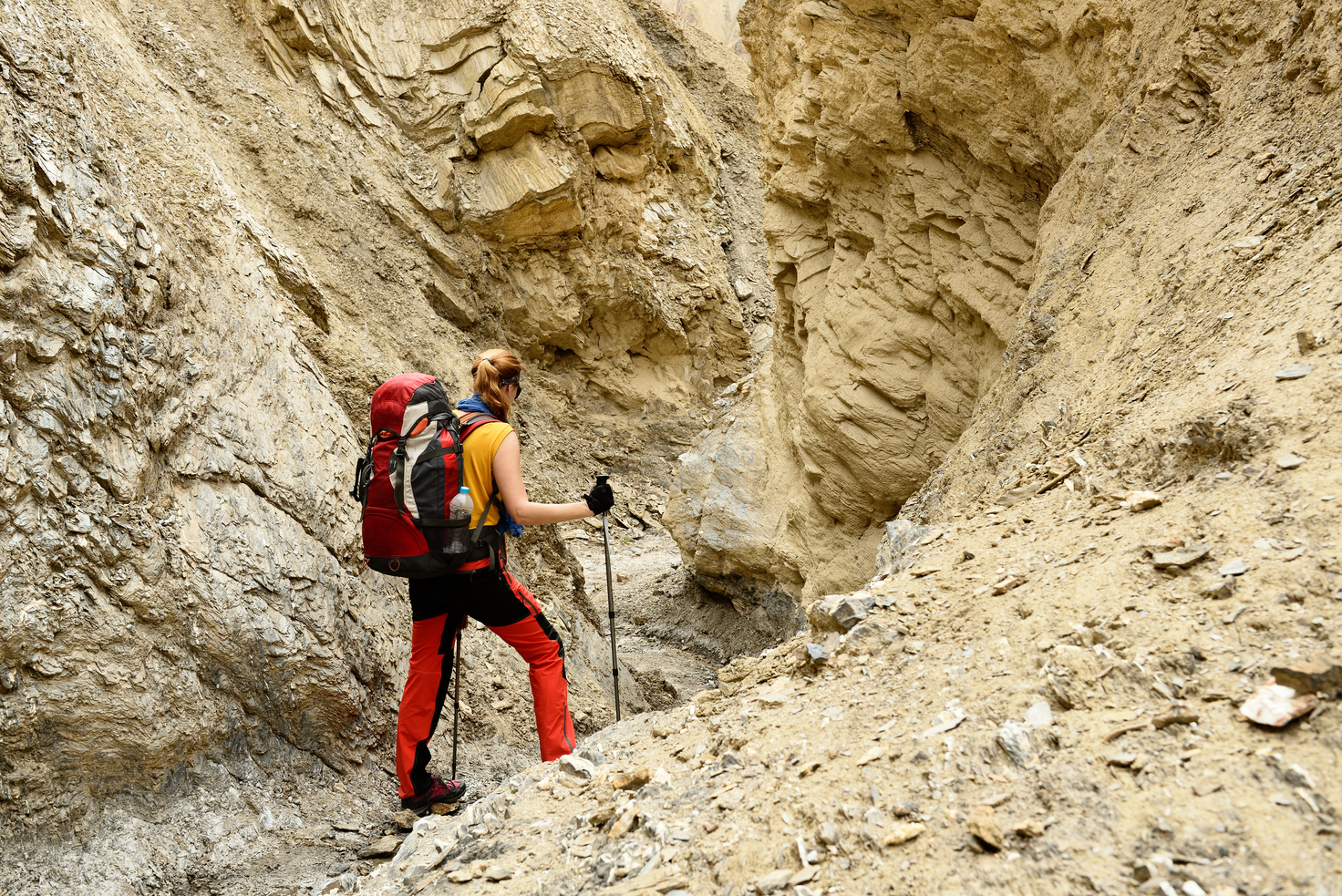 Trekking in Ladakh